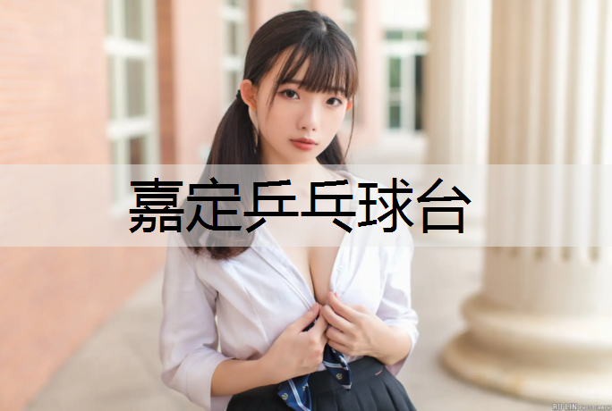 嘉定乒乓球台