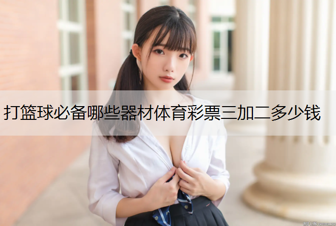 打篮球必备哪些器材体育彩票三加二多少钱