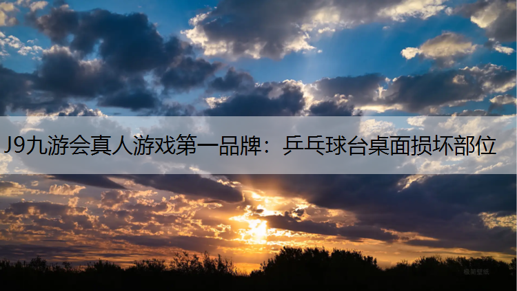 J9九游会真人游戏第一品牌：乒乓球台桌面损坏部位