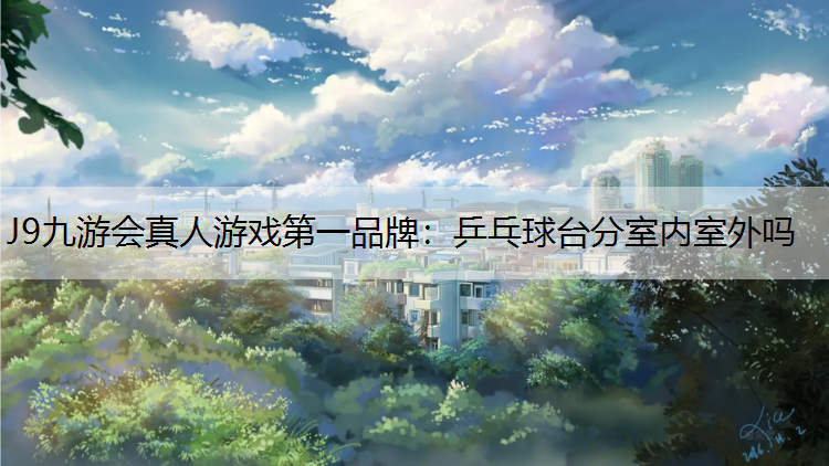 乒乓球台分室内室外吗