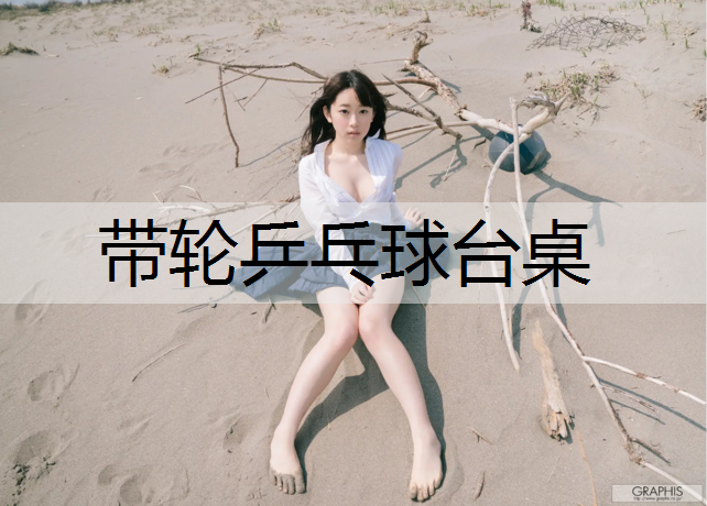带轮乒乓球台桌 带轮乒乓球台桌