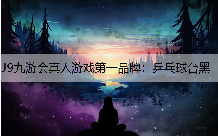 乒乓球台黑